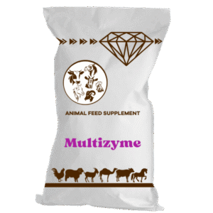 Multizyme
