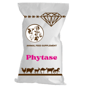 Phytase