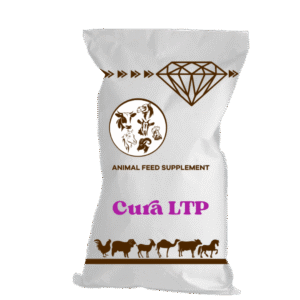 Cura LTP