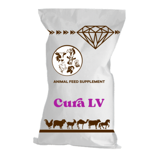 Cura LV – L-Valine
