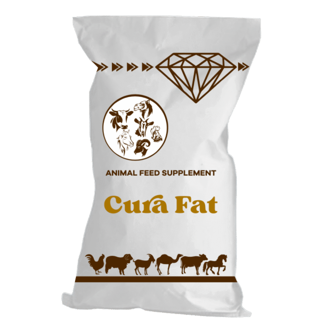 Cura Fat – Kin Anivet